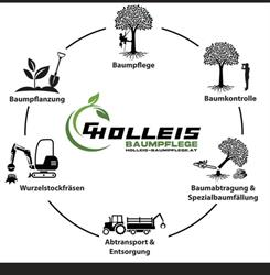 Holleis Baumpflege e.U.