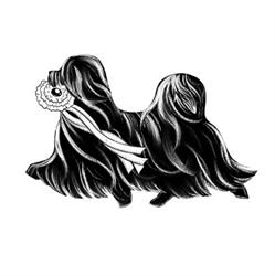 Beauty Champion Hundefriseur