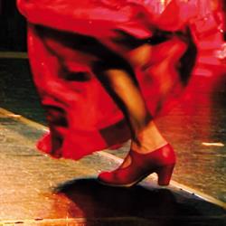 Flamencoschule LaGuita