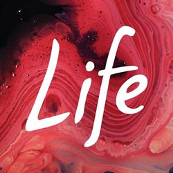 Life Church Spittal Kirche Mitten Im Leben