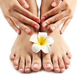 Venusblume Vitalzentrum - Maniküre medizinische Pediküre bei Kathi