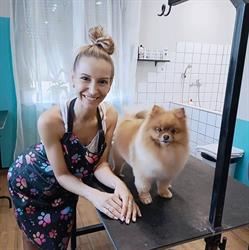 Nasse Nase Hundesalon