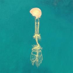 NOW SWEET NOW - Somatic Experiencing & Psychologische Beratung, Beziehungsberatung, Workshops