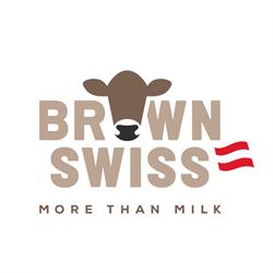 Brown Swiss Austria