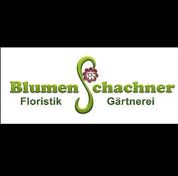 Blumen Schachner