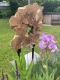 IMG-20230604-WA0007