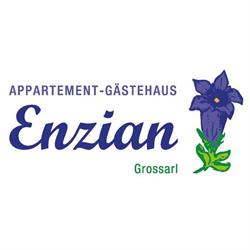 Appartement-Gästehaus Enzian