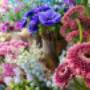 Unsere Schnittblumen-auswahl