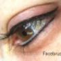 Facebrush_Eyeliner