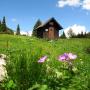 ÖTK - Wolfgang-Dirnbacher-Hütte Biwak