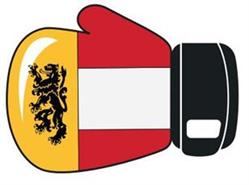 Salzburger Boxverband