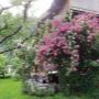 Garten Garten