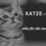 KATZEimHAUS.de innovative Technik für Katzen im Haushalt