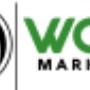 Wolf Marketing Logo