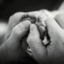 Foto-Homestory_Babyfüße_Niederösterreich Foto-Homestory_Babyfüße_Niederösterreich