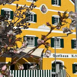 Gasthof Bauböck