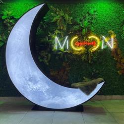 Moon Wels
