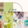 Collage verschiedener koreanischer Haaraccessoires und Blumen. Hochwertige Scrunchies und Haarklammern aus Cellulose von ONI Boutique.