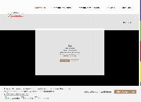 Website von 4Immobilien OG