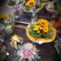 Blumen Eva Oberndorf in 6372 Oberndorf in Tirol