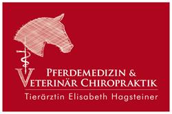 Pferdetierarzt Elisabeth Hagsteiner - Kirchdorf in Tirol