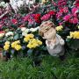 Obi Markt Fürstenfeld Gartenparadies Obi Markt Fürstenfeld Gartenparadies