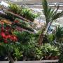 Obi Markt Fürstenfeld Gartenparadies Obi Markt Fürstenfeld Gartenparadies
