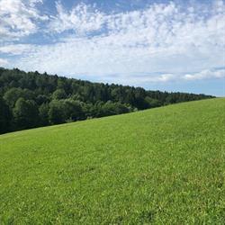Raberhof
