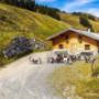 Sommerurlaub auf der Hasenaualm