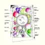 Gartenplan