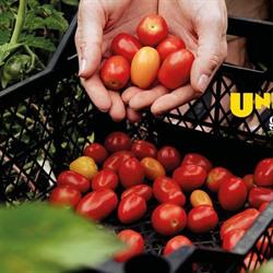 Unimarkt Handelsgesellschaft m.b.H. & Co. KG