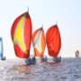 Segelregatta