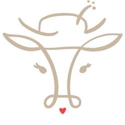 Evi GmbH