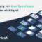 User-Experience-UX-