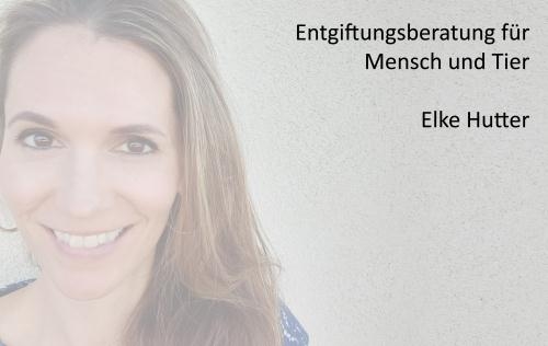 Entgiftungsberatung für Mensch und Tier