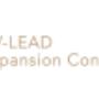 AV-LEAD Expansionsberatung-Firmenlogo
