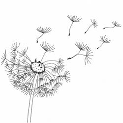 Psychologische Praxis - Mag.a Arijana Medic