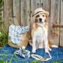 Tiere
