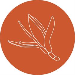 Champa- flavours of home