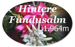 Hintere Fundusalm