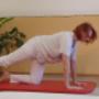 Physiotherapie Kapeller in Bergheim Physiotherapie Kapeller in Bergheim