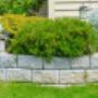 Gärtnerei und Gartengestaltung Heiduk GmbH