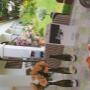 # 5