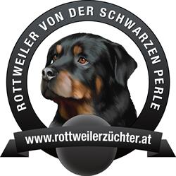 Dog Angels Hundetrainer - Rottweilerzucht