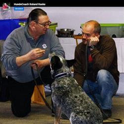 HundeCoach Roland Raske