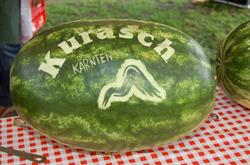 Buschenschenke Kurasch