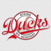 Diving Ducks Wr. Neustadt