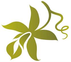 Aromainsel