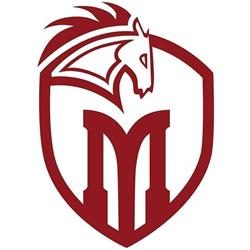 Mistelbach Mustangs