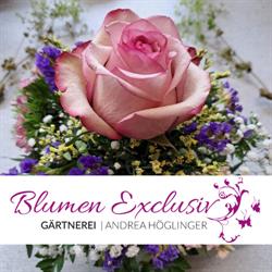 Blumen Exclusiv Andrea Höglinger e.U.